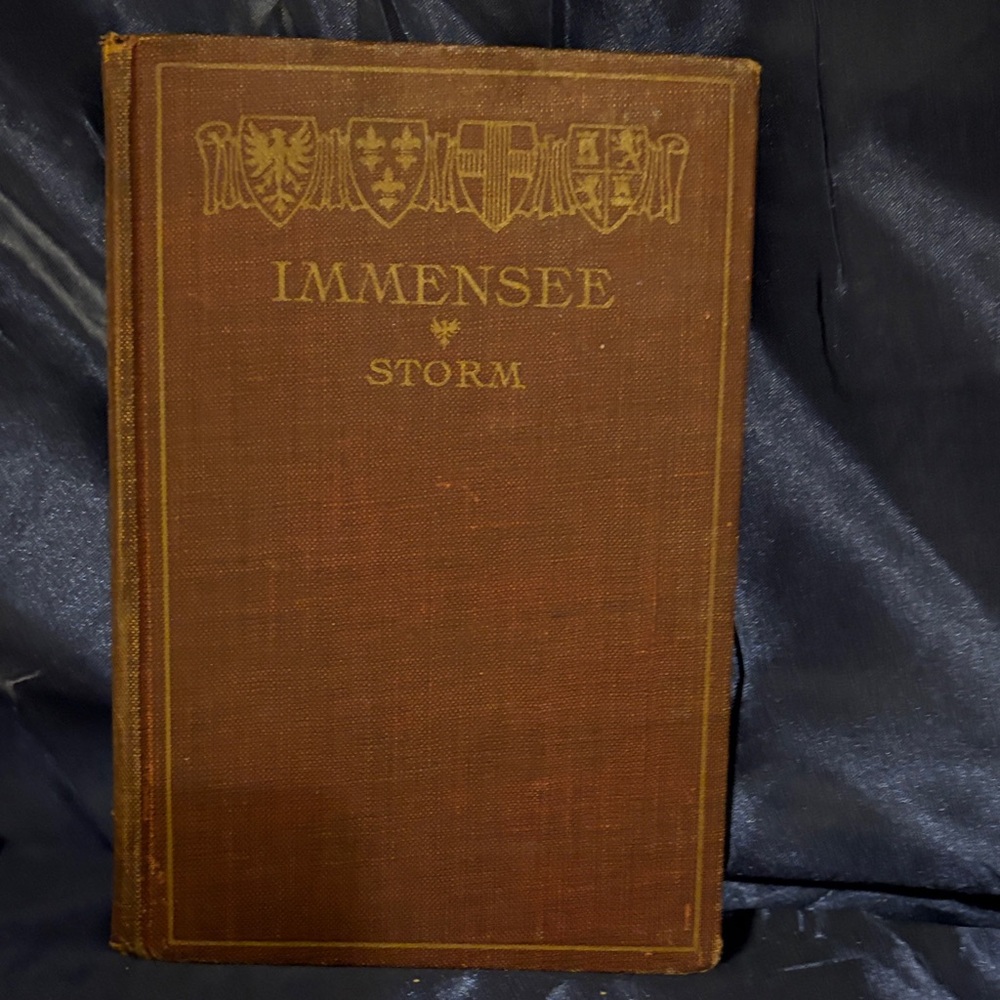 Vintage Immensee Book by Storm
